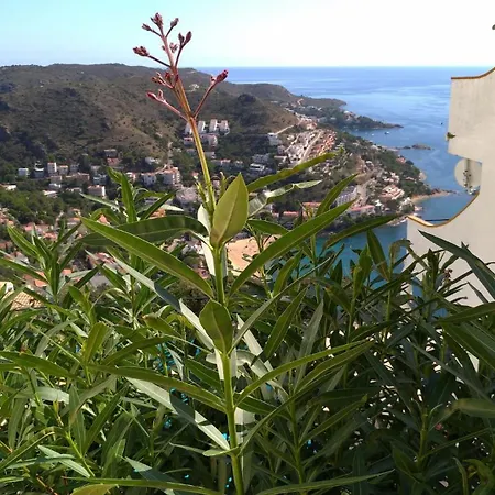 Impresionantes Vistas Del Mar En Roses, Canyelles *